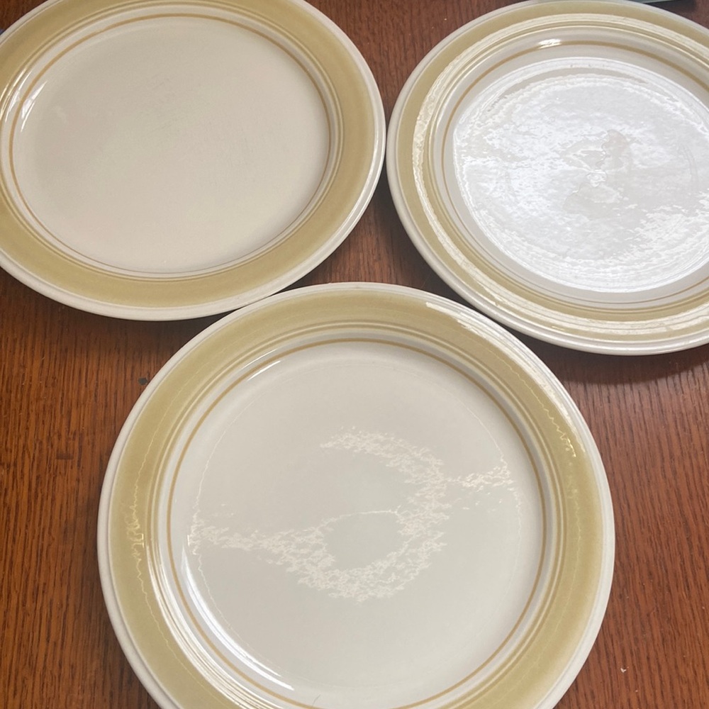 Impressions by Daniele dinner plates Pebbled Shore stoneware